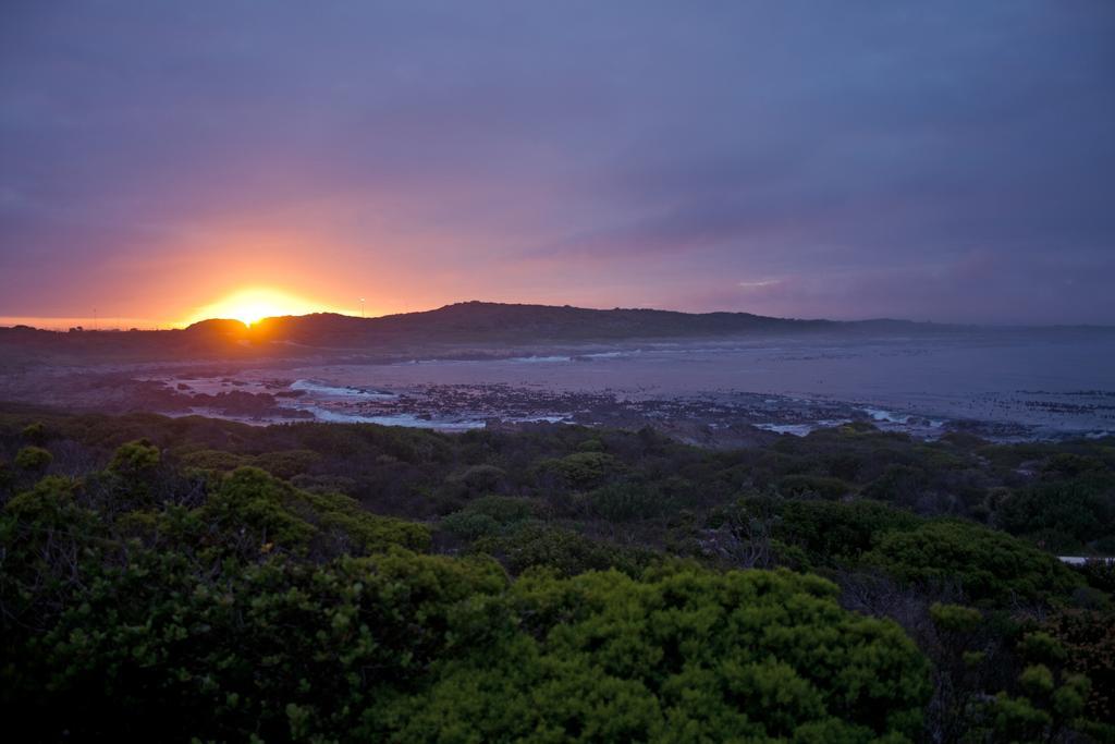 Schulphoek Seafront House Hotel Hermanus Bagian luar foto