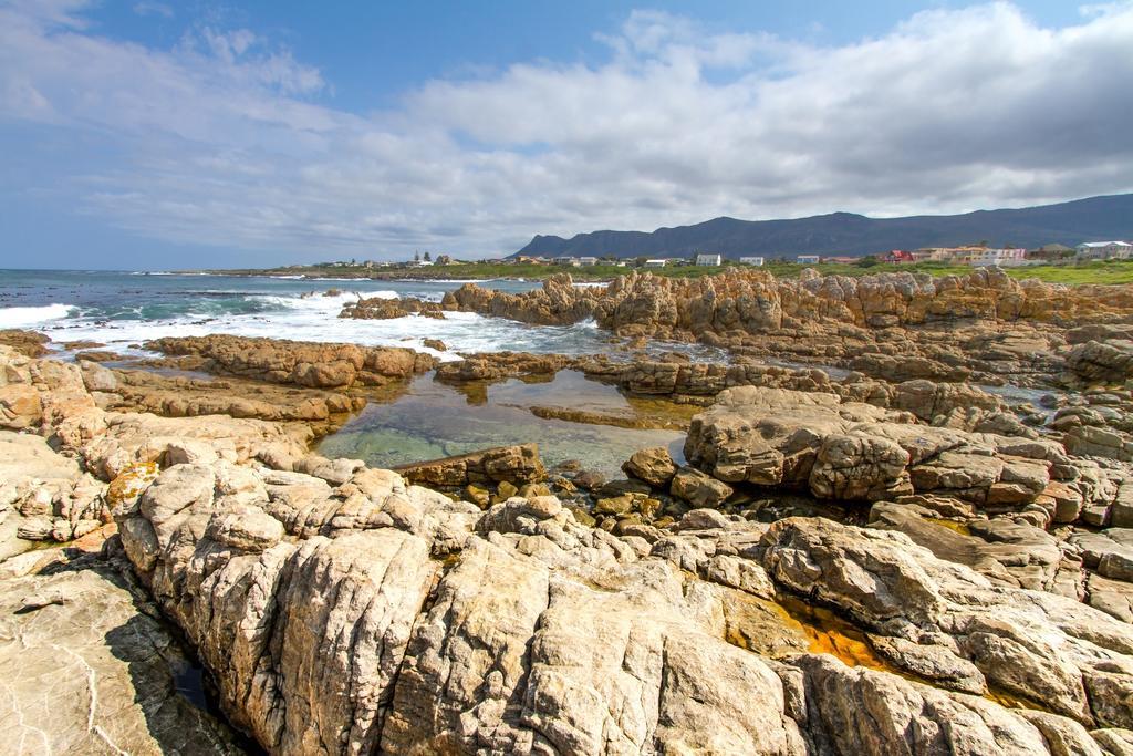 Schulphoek Seafront House Hotel Hermanus Bagian luar foto