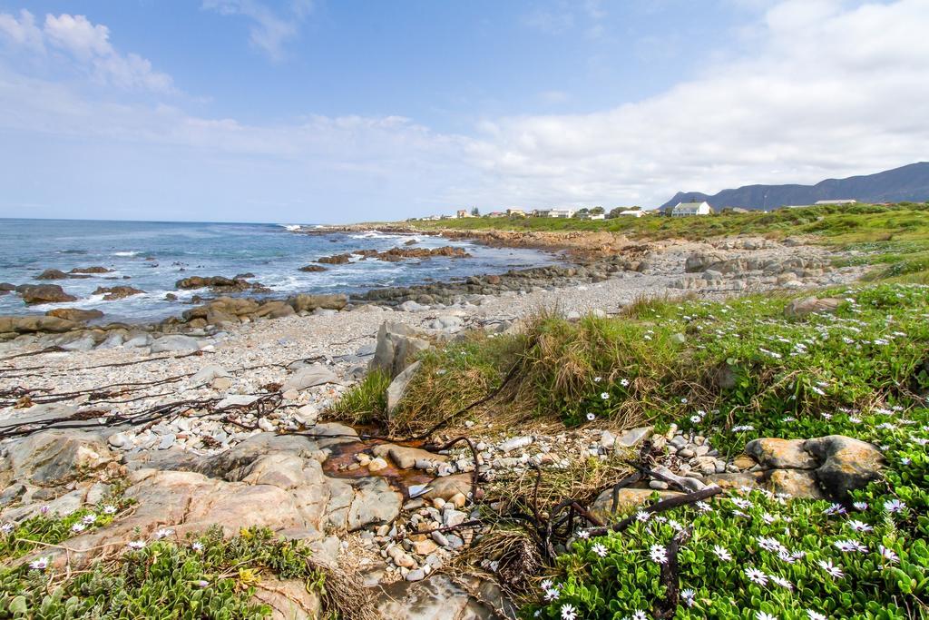 Schulphoek Seafront House Hotel Hermanus Bagian luar foto