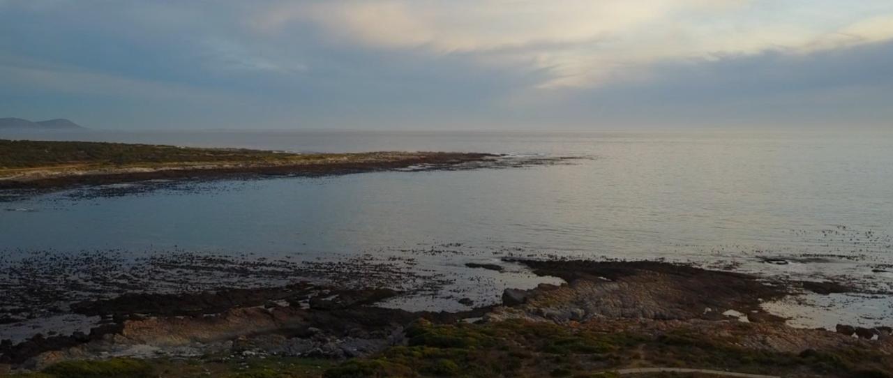 Schulphoek Seafront House Hotel Hermanus Bagian luar foto